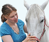 Horse willrieke small photograph