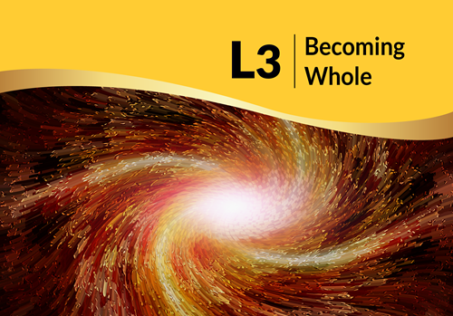 Become a Level 3 Instructor